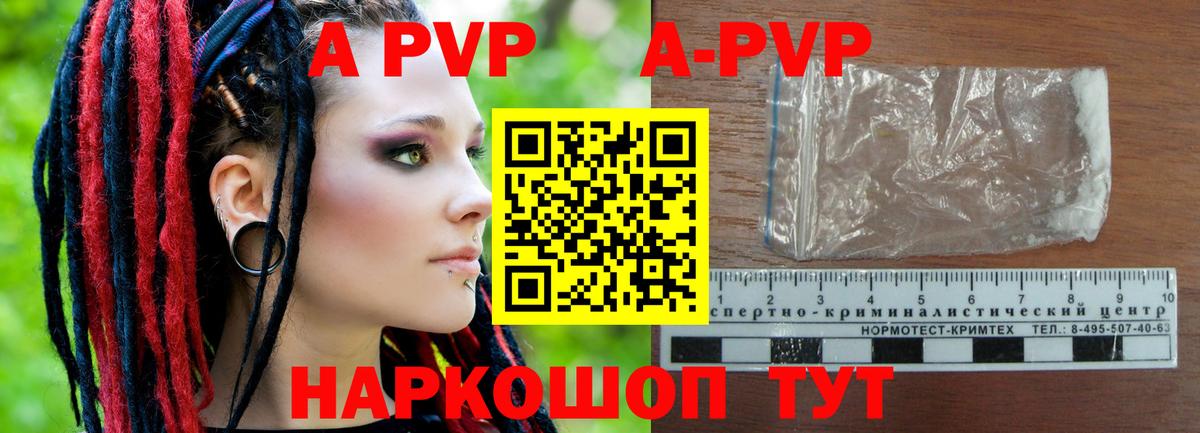 A PVP СК КРИС Мичуринск