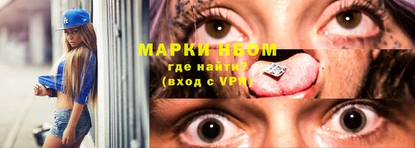 прущие грибы Алексеевка