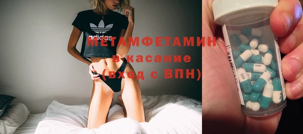 прущие грибы Алексеевка