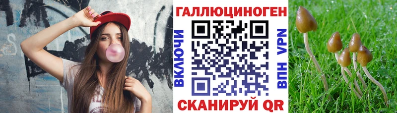 Псилоцибиновые грибы MAGIC MUSHROOMS  где найти   Мичуринск 