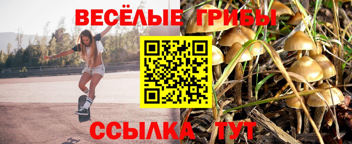 Мичуринск  Галлюциногенные грибы мухоморы  Вход с VPN 
