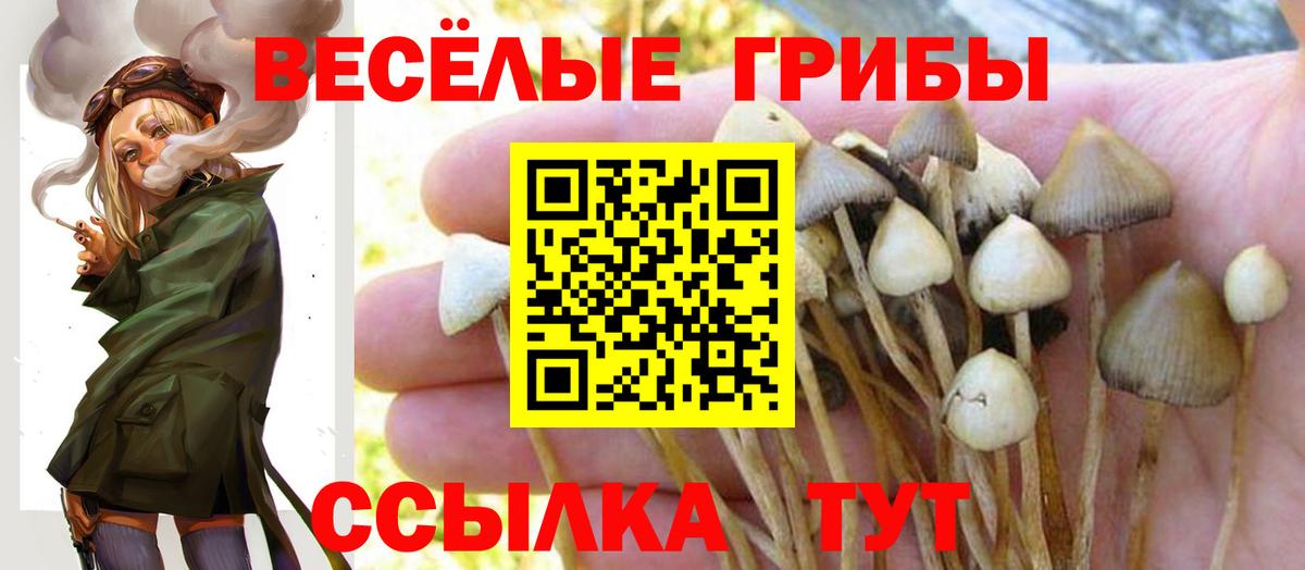 Псилоцибиновые грибы MAGIC MUSHROOMS Мичуринск